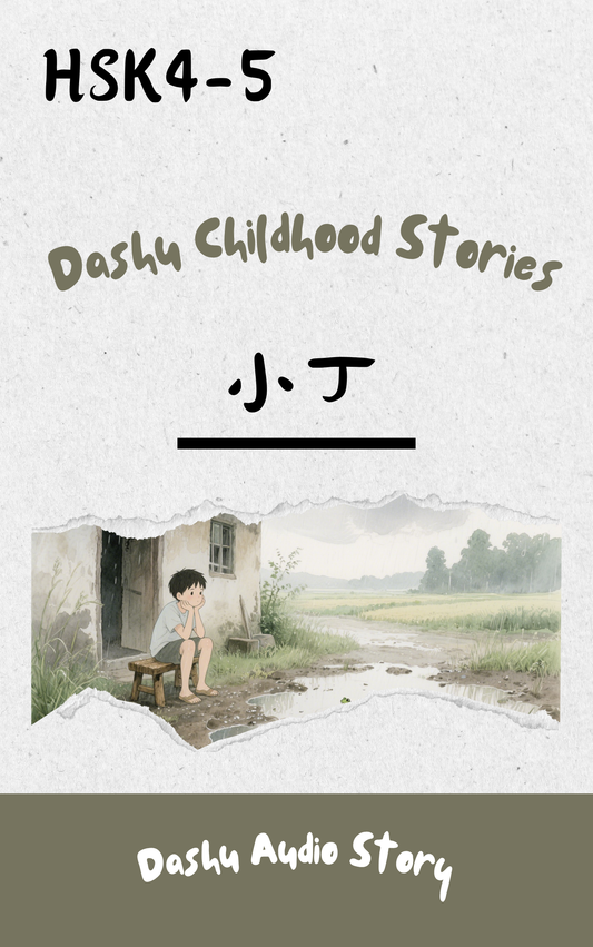 Dashu Audio Story 小丁 (MP3+PDF)