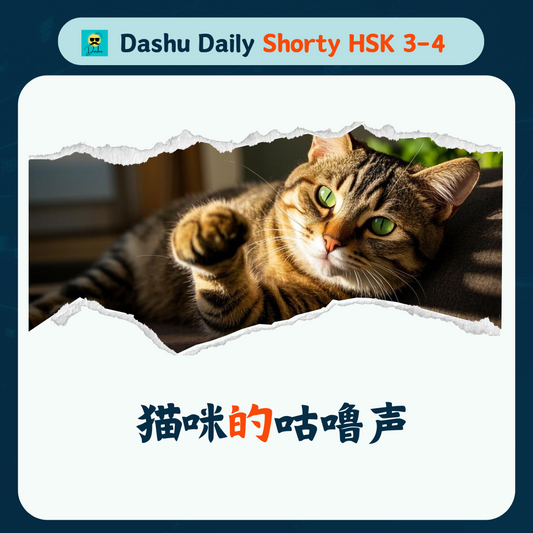 Dashu Daily Short Article HSK3-4:猫咪的咕噜声