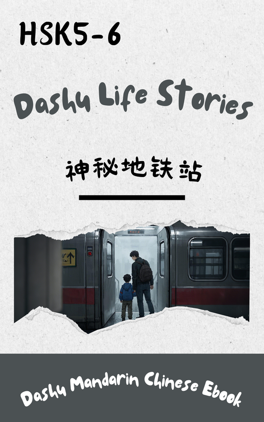 Dashu Epub Ebook HSK Level 5-6: 神秘地铁站