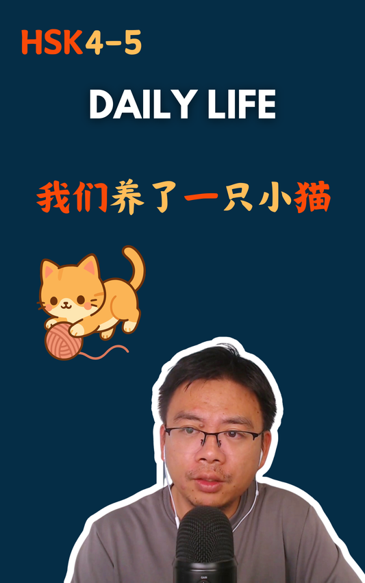我们养了一只小猫