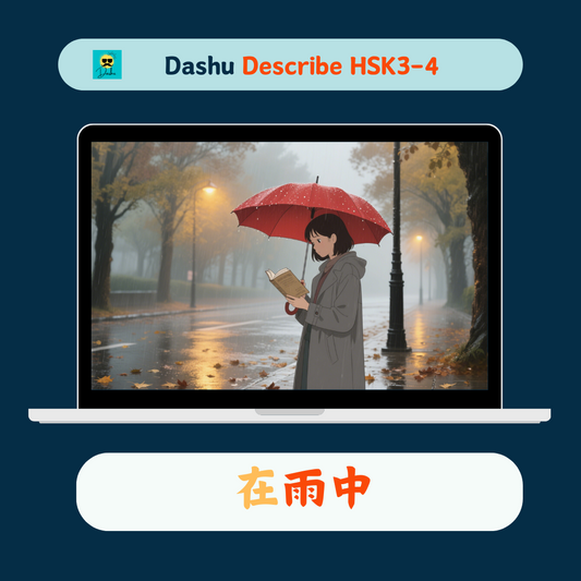 Dashu Describe Video HSK3-4:在雨中
