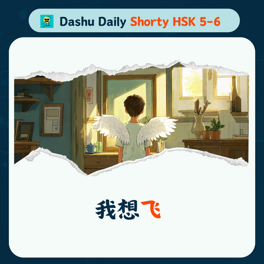 Dashu Daily Short Article HSK5-6: 我想飞