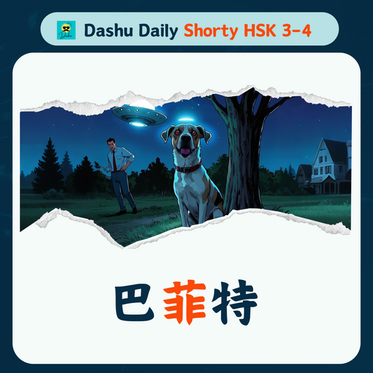 Dashu Daily Short Article HSK3-4:巴菲特