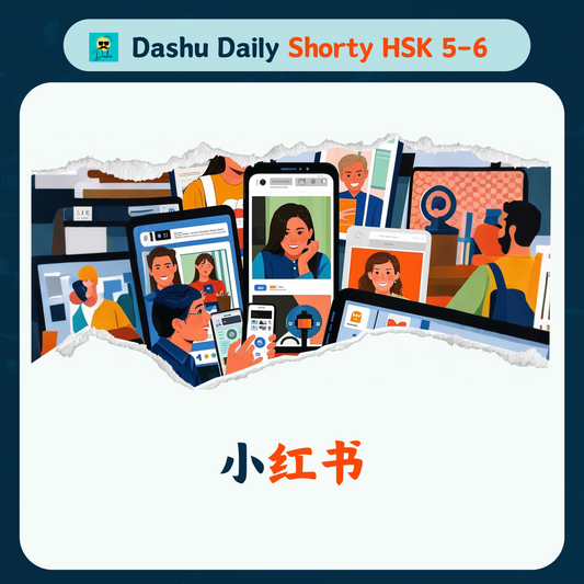 Dashu Daily Short Article HSK5-6: 小红书