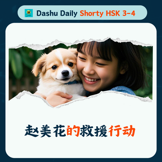 Dashu Daily Short Article HSK3-4:赵美花的救援行动