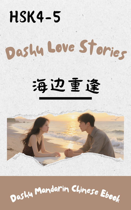 Dashu Epub Ebook HSK Level 4-5:海边重逢